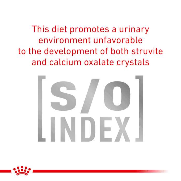Urinary SO Dog Food Q351475