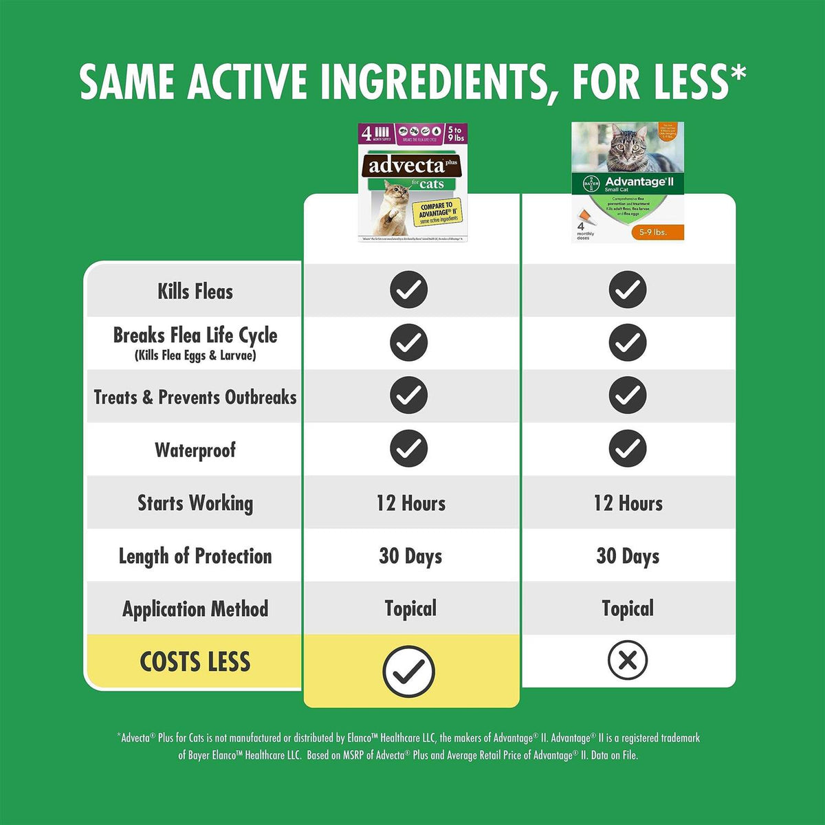 Flea Protection for Small Cats C937