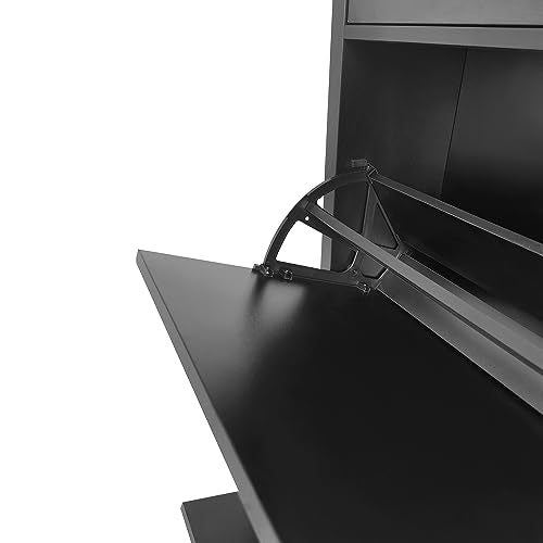 Black Narrow Shoes Cabinet with 2 Adjustable Shelves and Top Drawer U94773