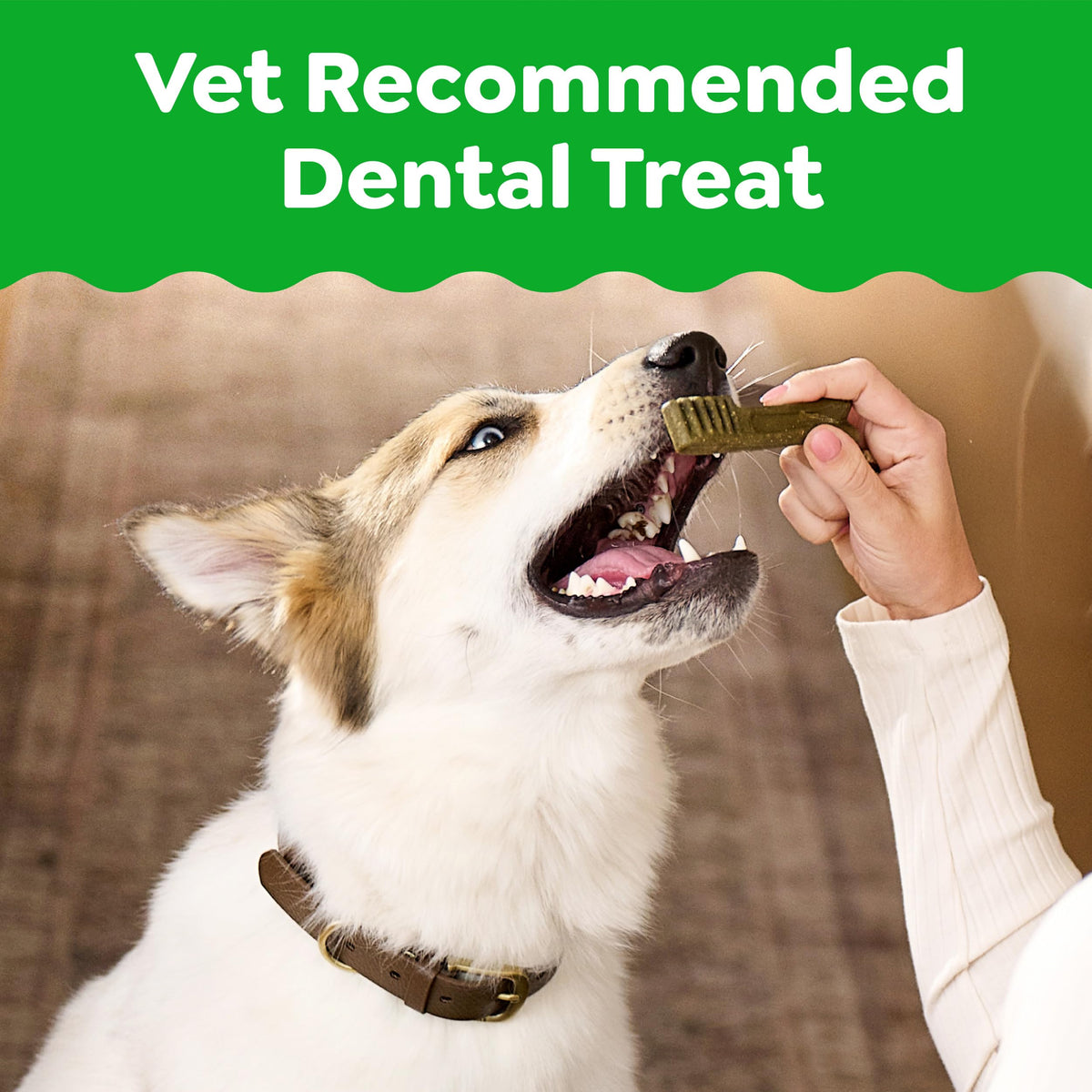 Natural Dental Dog Treats 5 Count M858