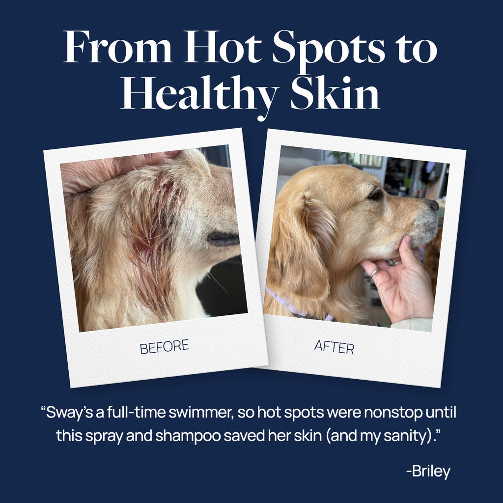 Hot Spot & Itch Relief Pet Shampoo, 16 oz I866