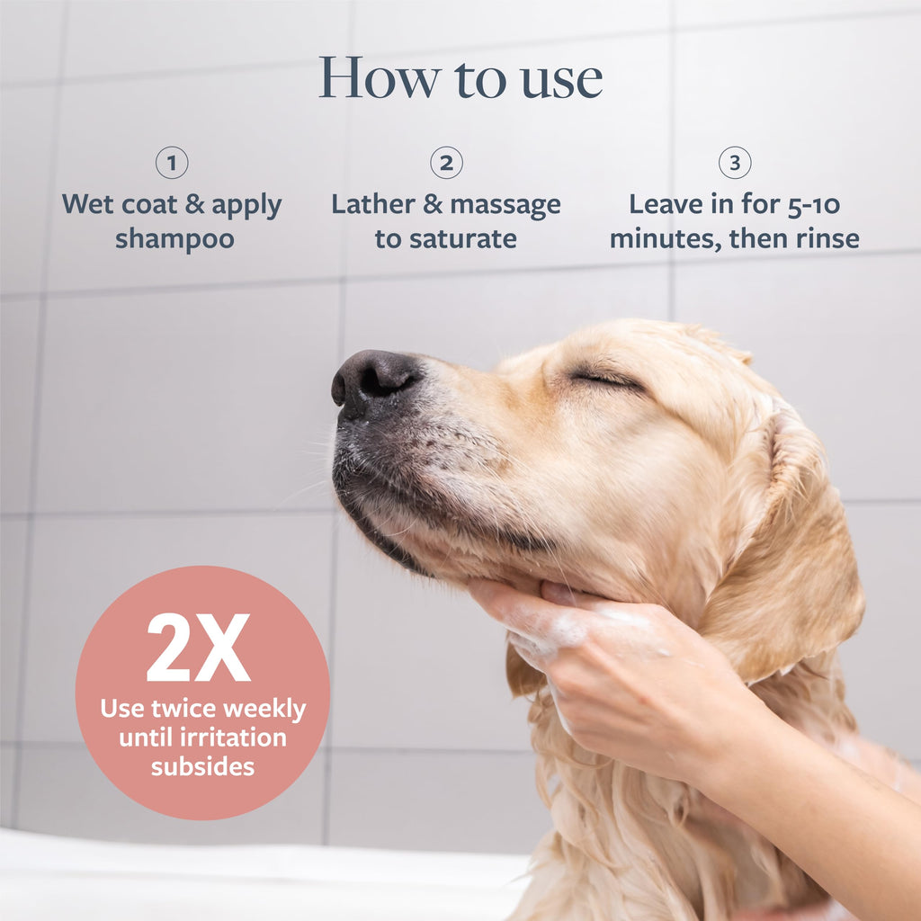 Hot Spot & Itch Relief Pet Shampoo, 16 oz I866