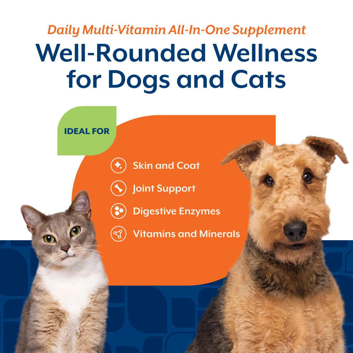 Cat & Dog Daily Multivitamin 13 Oz Powder Y59925