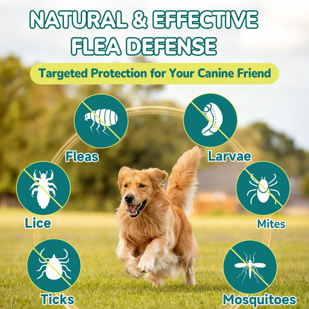 Flea and Tick Prevention for Dogs F1444