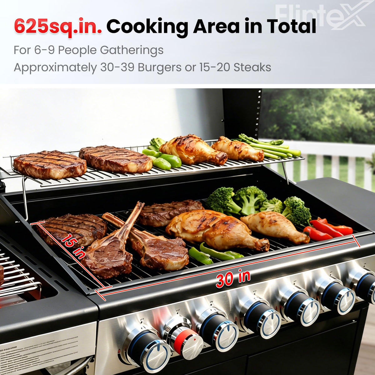 6-Burner Propane Gas Grill with Cast Iron Grates & Griddle, 54,600 BTU, Black Z25213