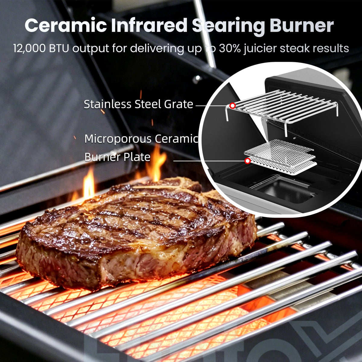 6-Burner Propane Gas Grill with Cast Iron Grates & Griddle, 54,600 BTU, Black Z25213