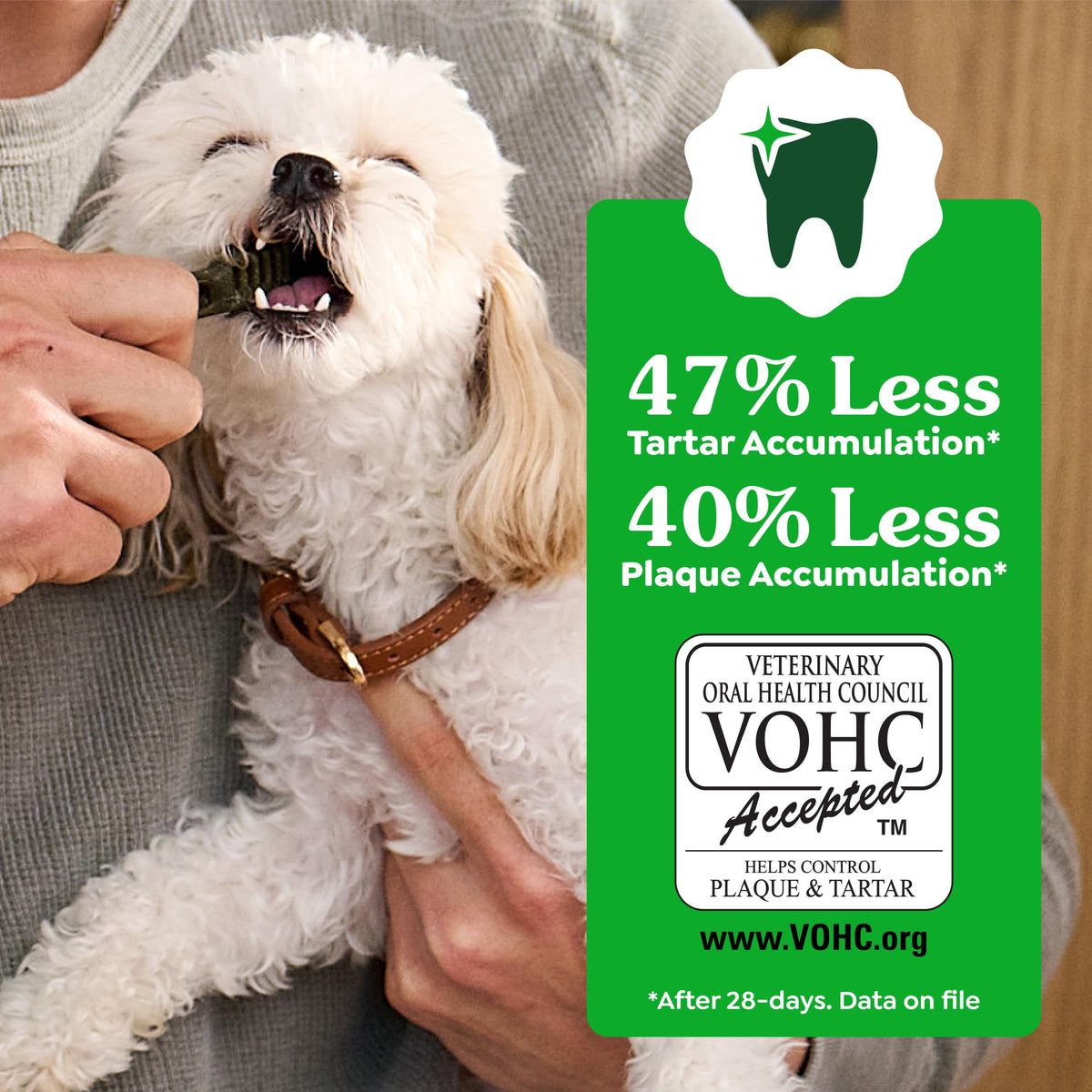 Natural Dental Dog Treats 5 Count M858