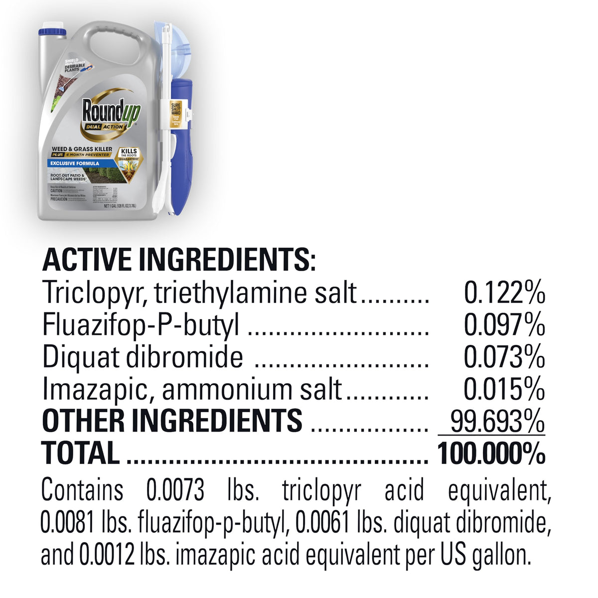 Dual Action Weed & Grass Killer with Wand, 1 gal. O521824