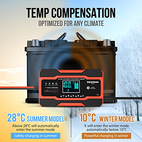 10-Amp Smart Battery Charger 12V 24V R427