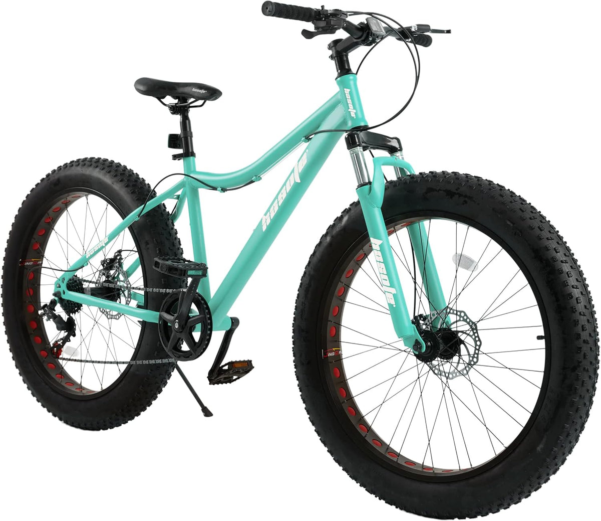 26 inch 7 Speed Double Disc Brake Fat Tire Mountain Bike C180785