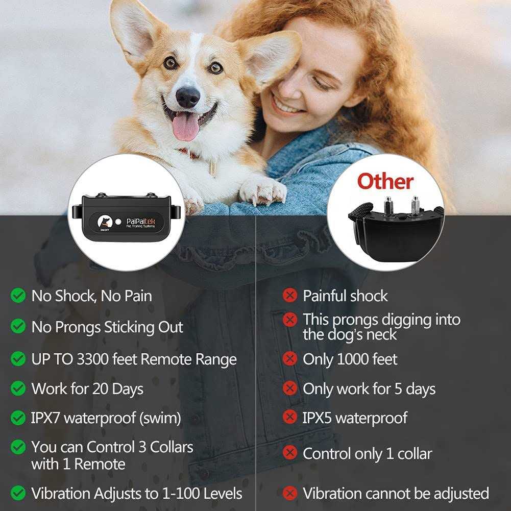 Dog Training Collar with Remote E6422