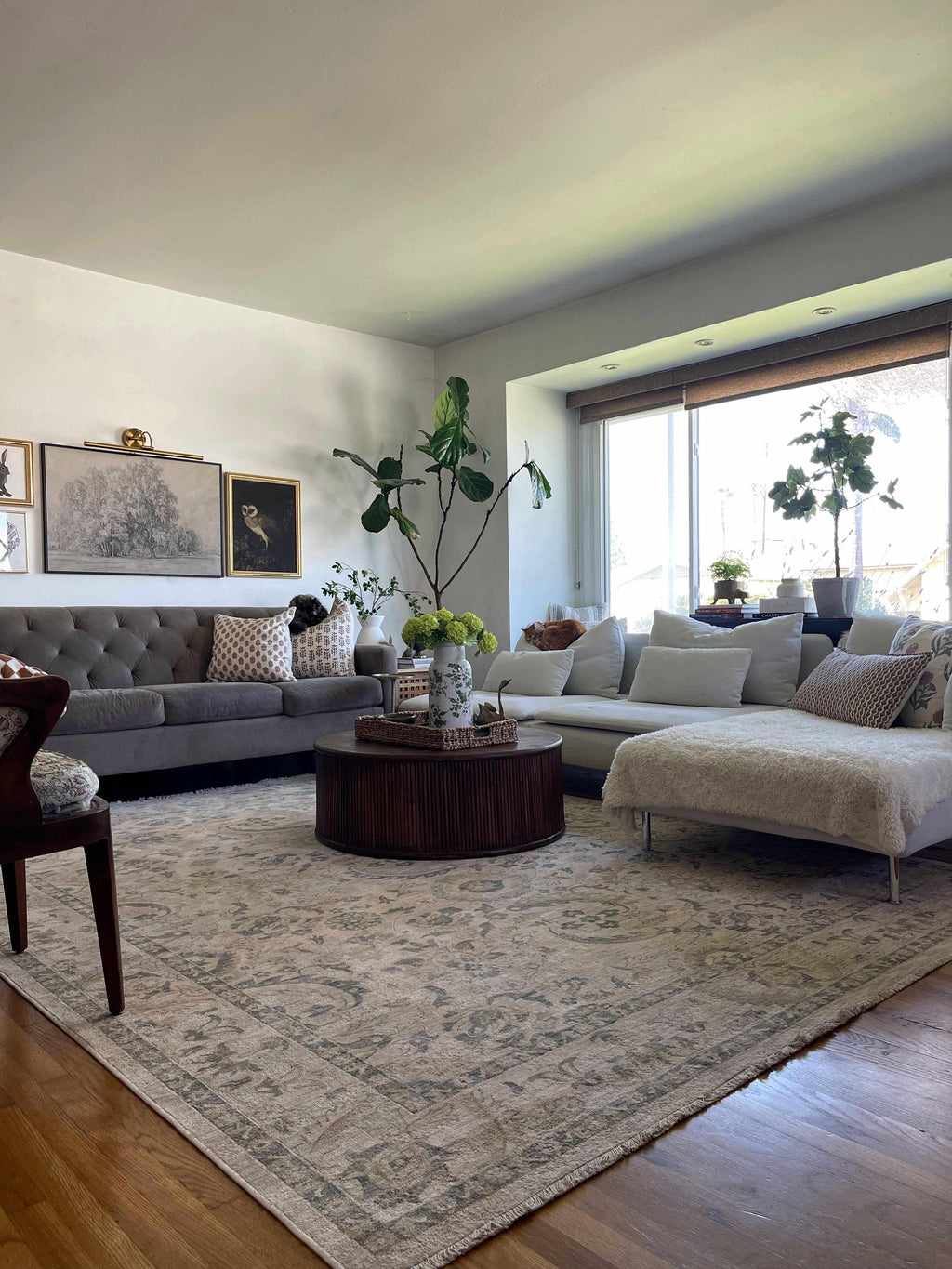 Brown Gray Area Rug I742358