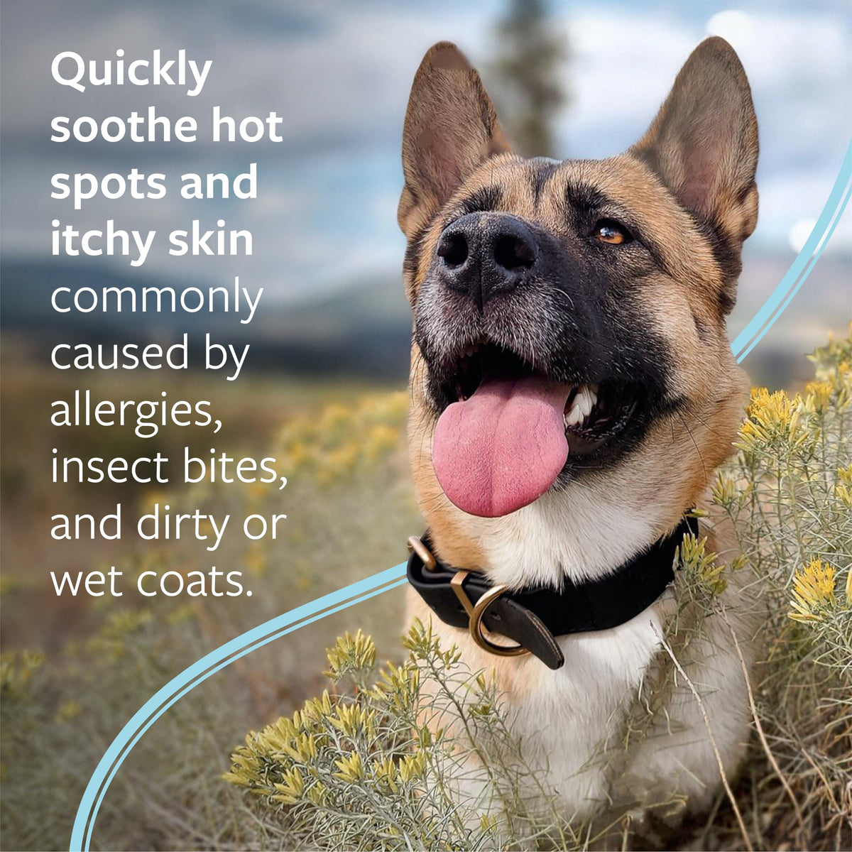 Hot Spot & Itch Relief Pet Shampoo, 16 oz I866