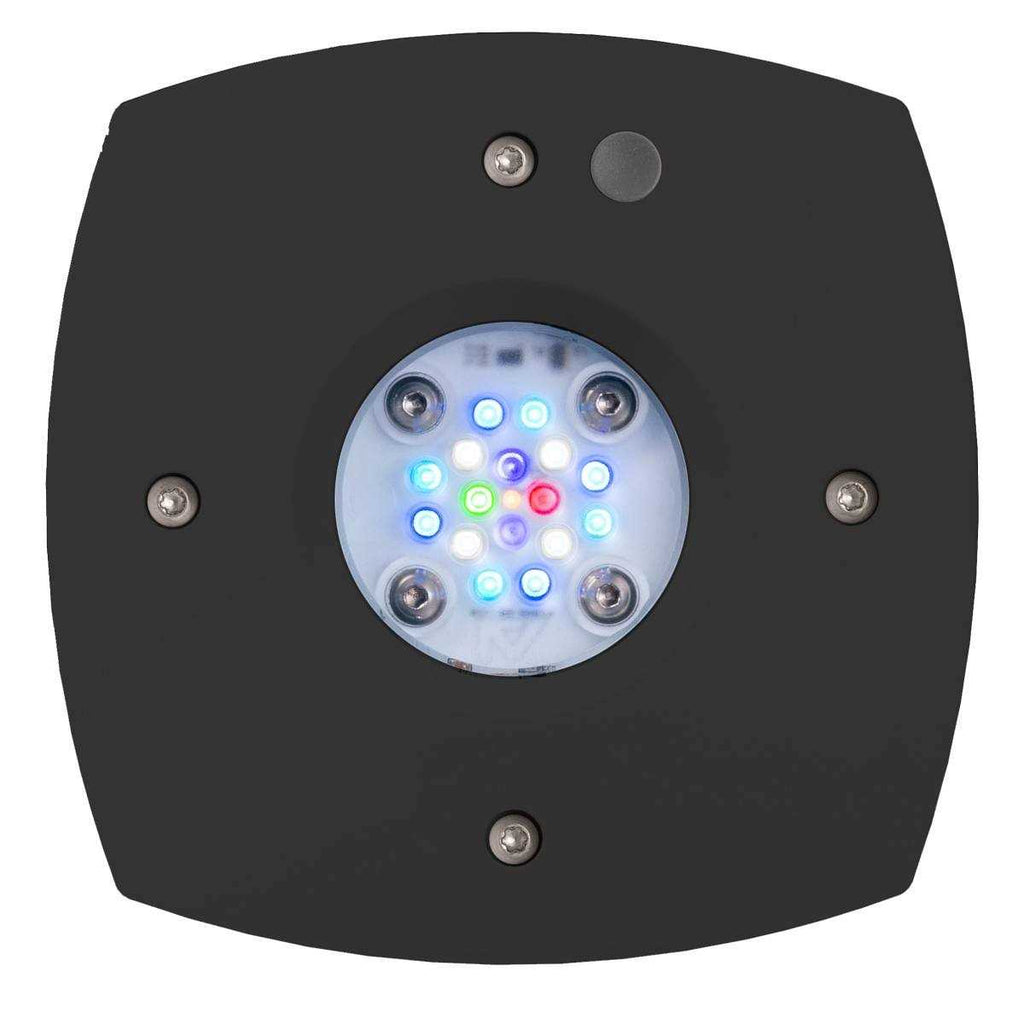 Prime 16HD Reef LED N80889