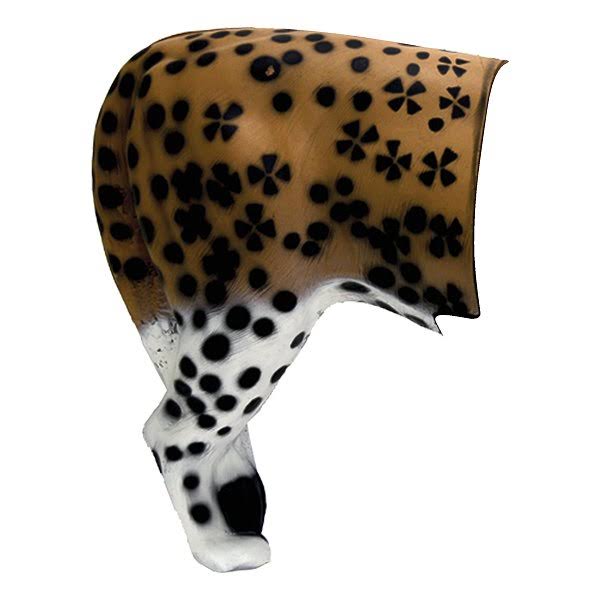 African Leopard Rear X57416