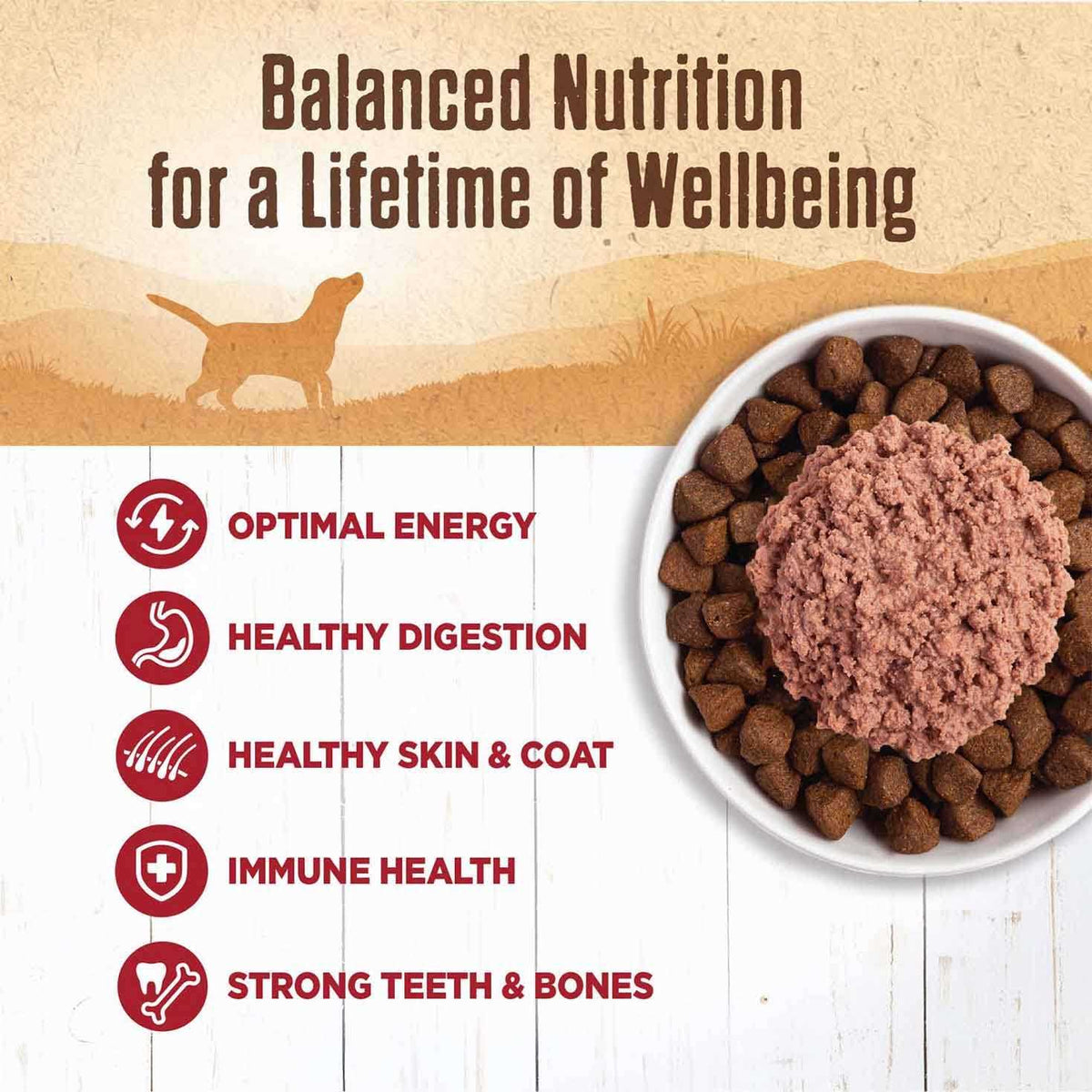 Beef Dog Food W1038