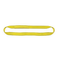 2 Ply 2x22 x 15& Endless Polyester Web Sling C74526