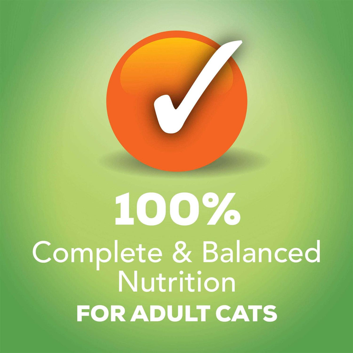 Indoor Wet Cat Food C281243