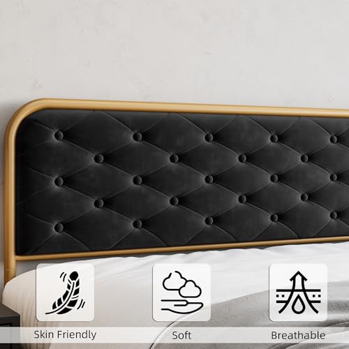 Queen Size Velvet Upholstered Bed Frame with Button Tufted Headboard, Gold-Black T14159
