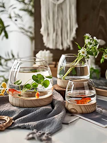 Glass Vase with Wooden Support Base, Clear Glass Bubble Vase, 1pcs (B 23 × 22 × 20 cm) N10338