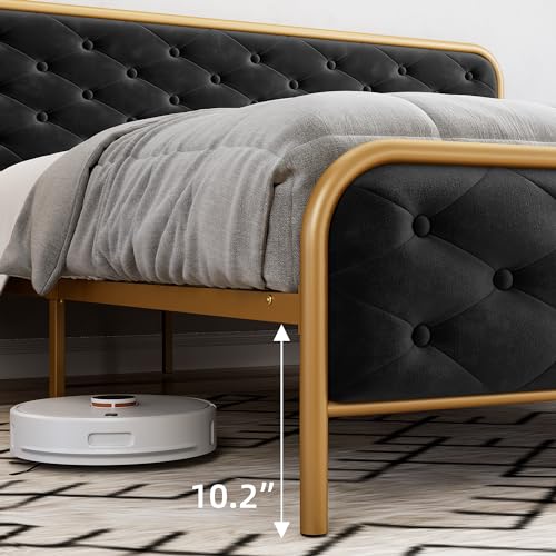 Queen Size Velvet Upholstered Bed Frame with Button Tufted Headboard, Gold-Black T14159