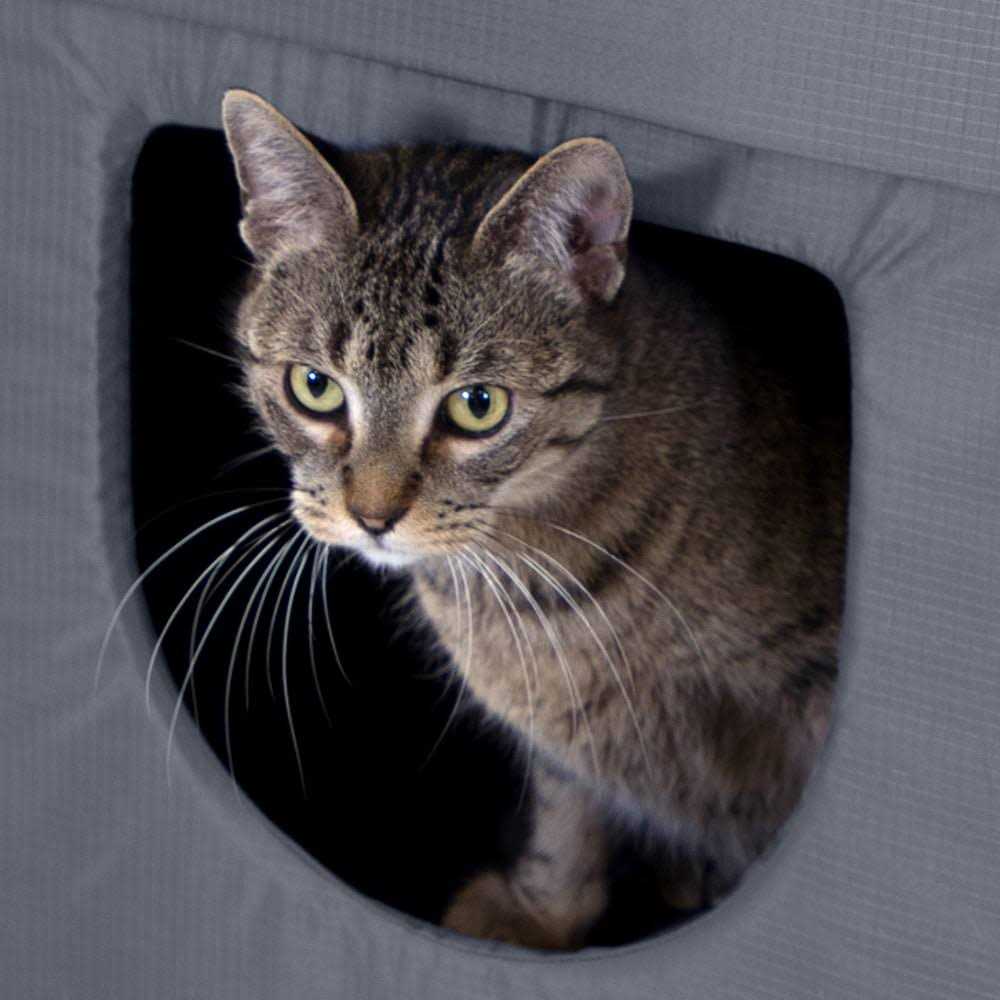 Outdoor Cat House I345729