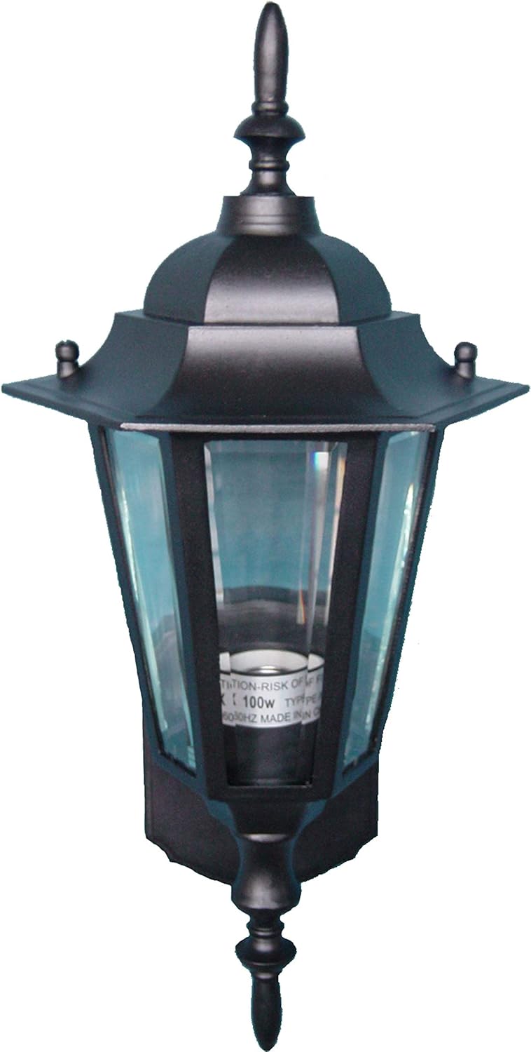 Black 1-Light Outdoor Wall Sconce D561176
