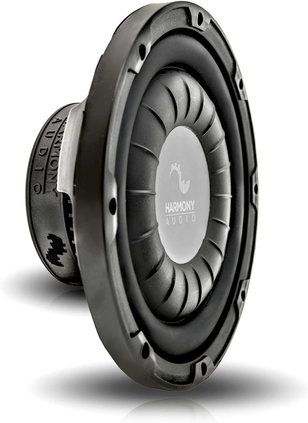 10 Subwoofer with Amp and Sub Box H3974