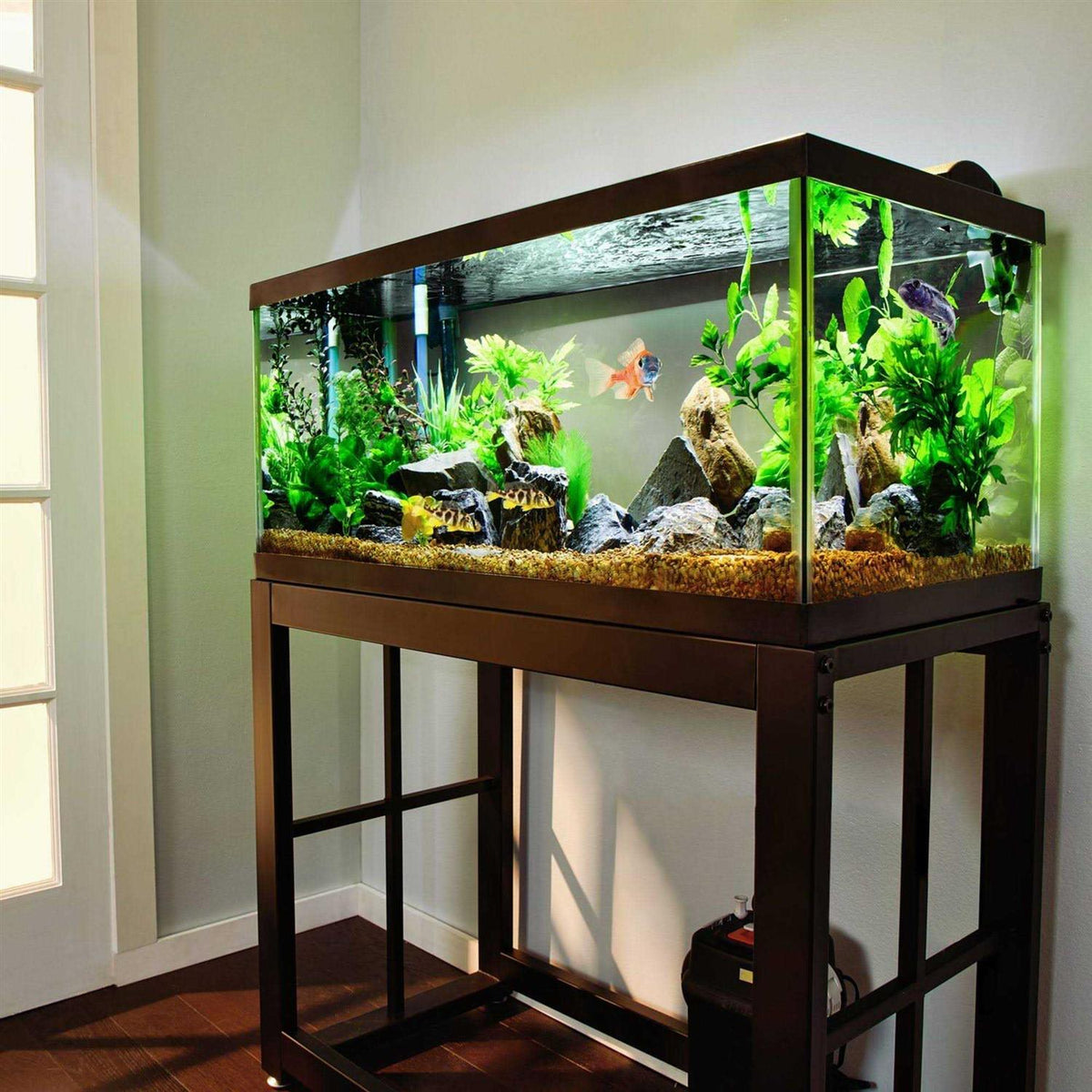 Black Aquarium I936
