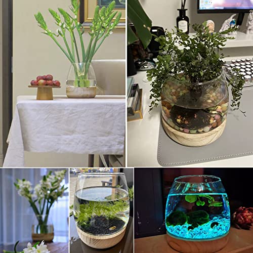 Glass Vase with Wooden Support Base, Clear Glass Bubble Vase, 1pcs (B 23 × 22 × 20 cm) N10338