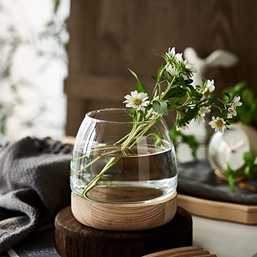 Glass Vase with Wooden Support Base, Clear Glass Bubble Vase, 1pcs (B 23 × 22 × 20 cm) N10338