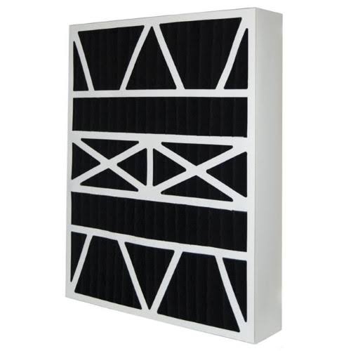20x25x5 Carbon Odor Filter Pack of 2 X225