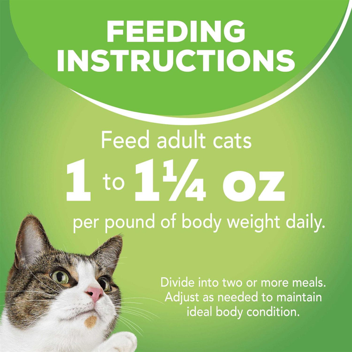 Indoor Wet Cat Food C281243