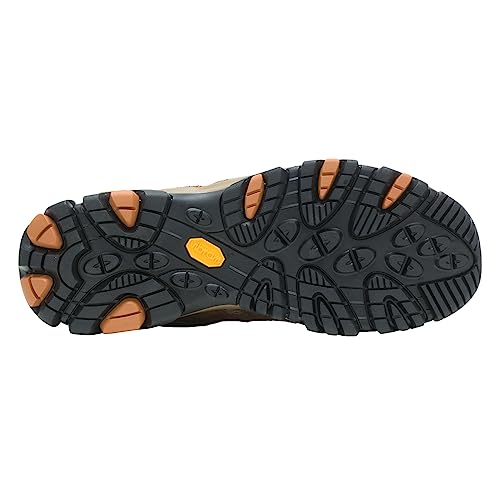 Men's Hiking Shoe Z85898
