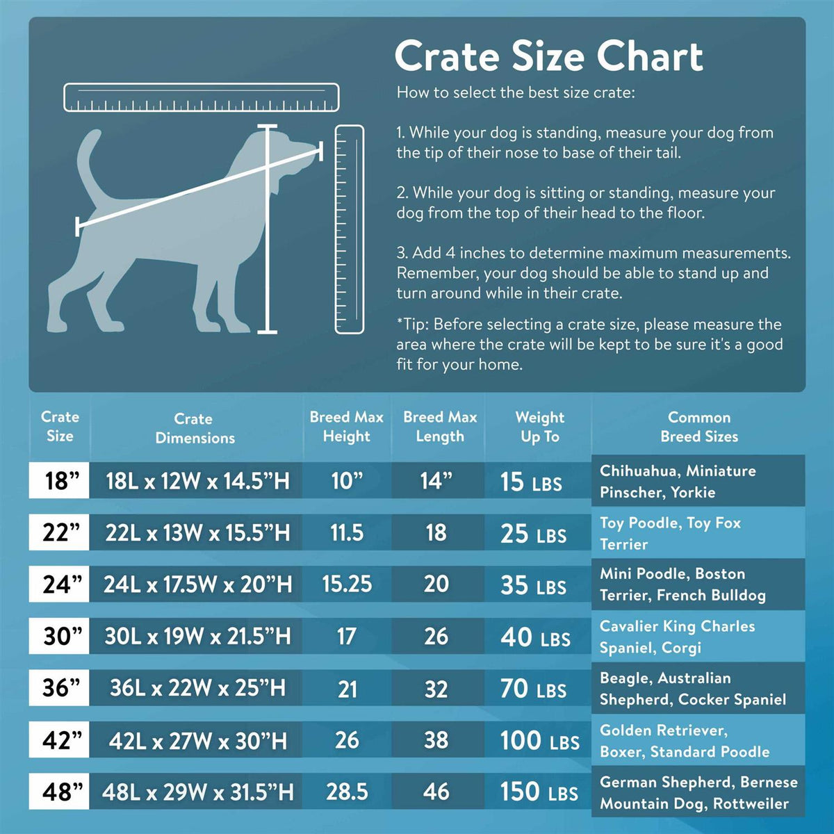 Double Door Folding Wire Dog Crate with Divider U6236