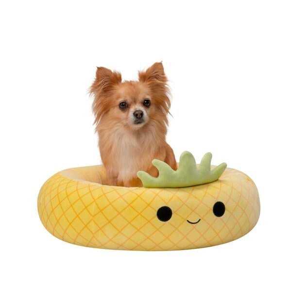 Pineapple Pet Bed O20887