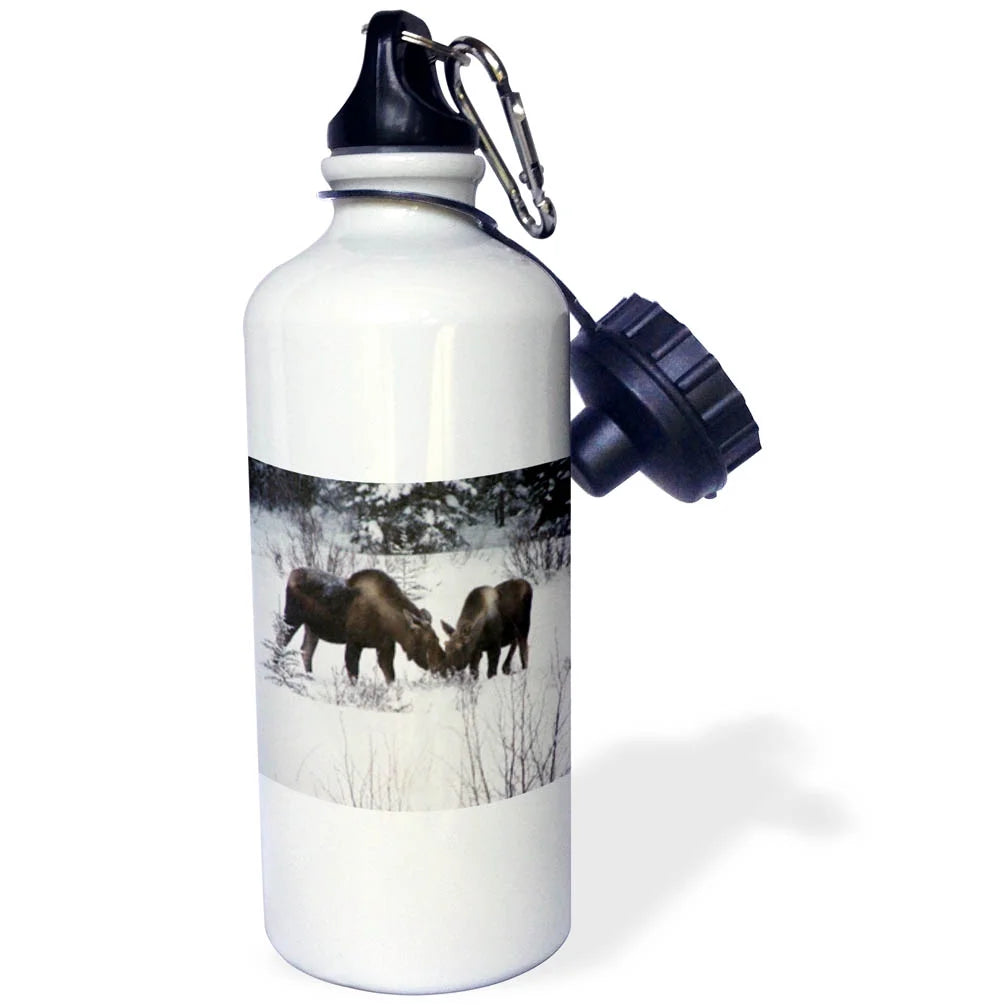 21 oz Sports Water Bottle T64921