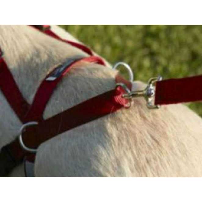 Harness I5981