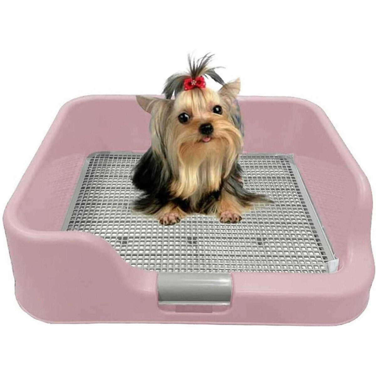 Indoor Dog Potty Tray with Protection Wall L9759