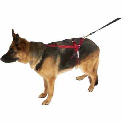 Harness I5981