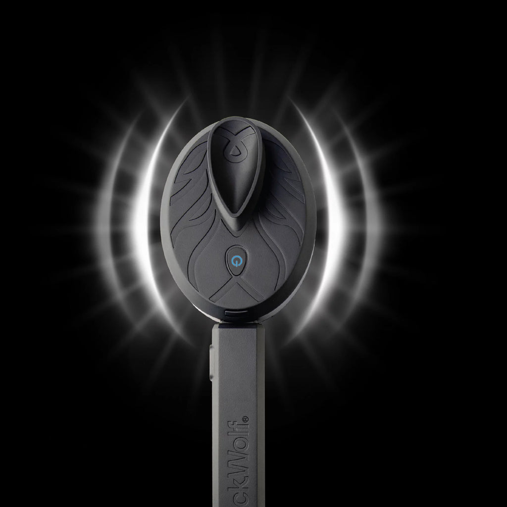 Vibrating Face and Body Brush G545979