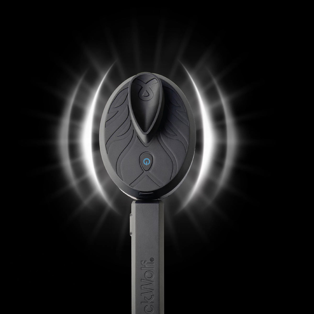 Vibrating Face and Body Brush G545979