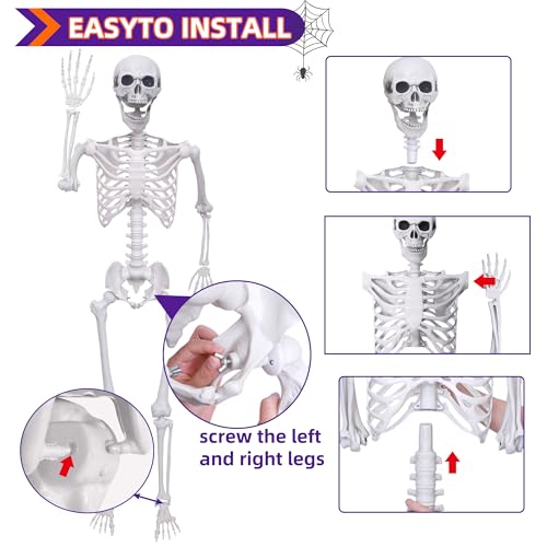 5.4Ft Life Size Posable Skeleton O3963