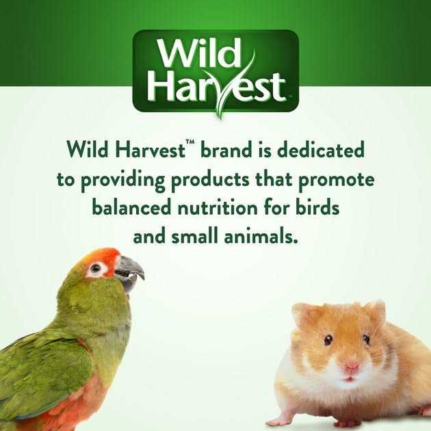 Universal Blend Birds T82962
