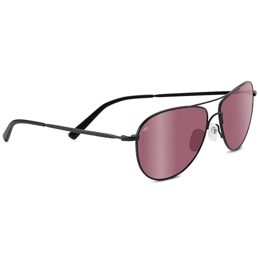 Satin Black Sunglasses H981