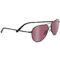 Satin Black Sunglasses H981