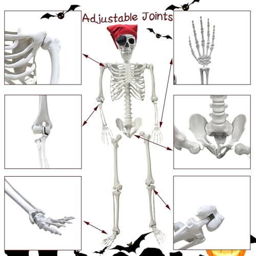 5.4Ft Life Size Posable Skeleton O3963