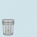 Interior Paint (5-Gallon) G35378
