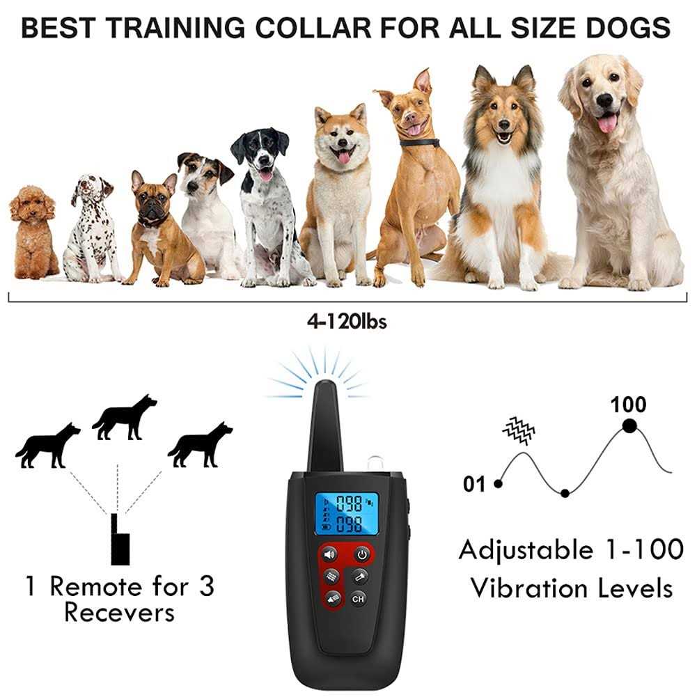 Dog Training Collar with Remote E6422