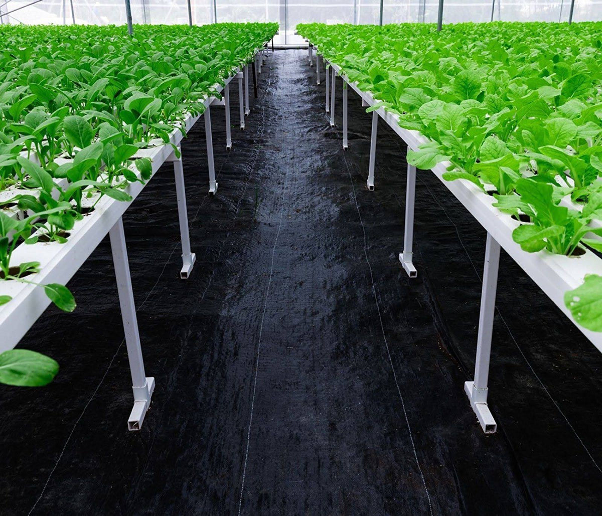 5oz Pro Garden Weed Barrier Landscape Fabric O673434